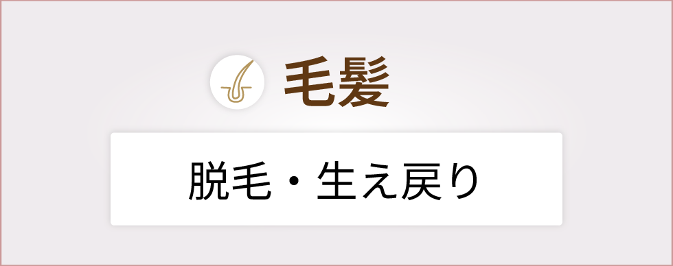 毛髪
脱毛・生え戻り