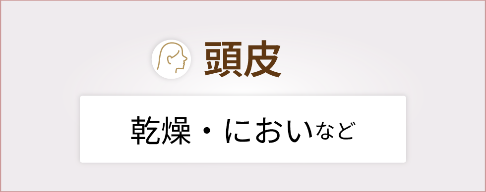 頭皮・
		  乾燥・においなど