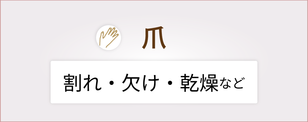 爪
		    割れ・欠け、乾燥など
