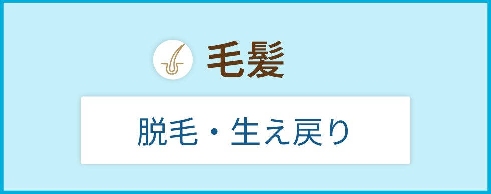 毛髪
脱毛・生え戻り
