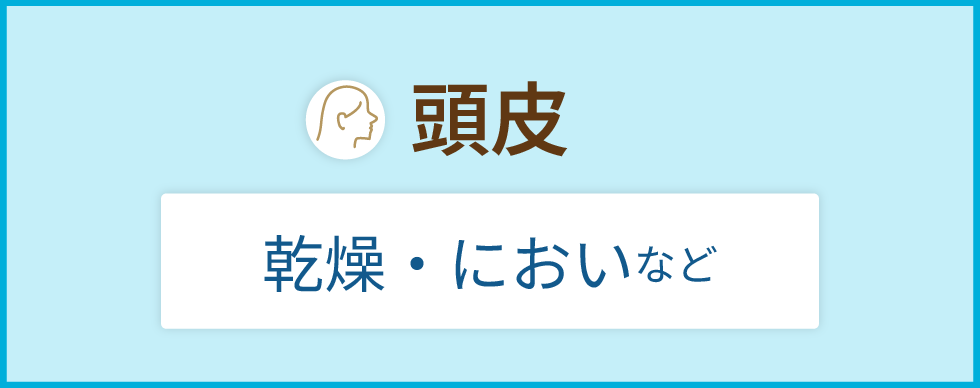 頭皮・
乾燥・においなど