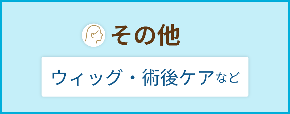 その他ウィッグ・術後ケアなど<