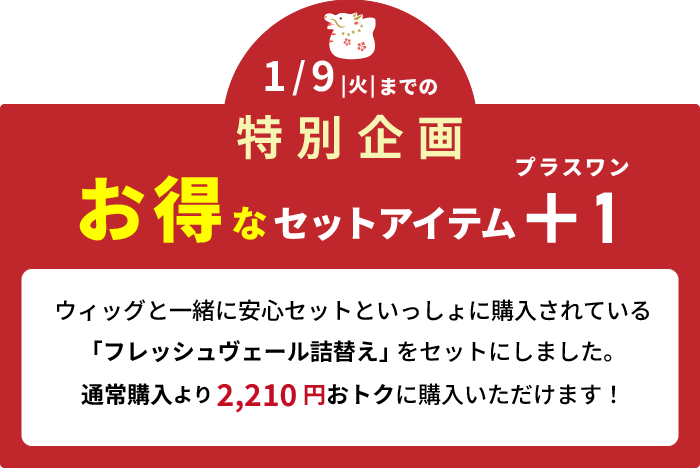 特別企画お得なセットアイテム＋１