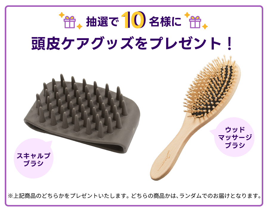 レビューキャンペーン