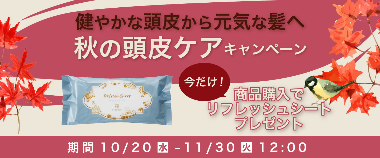 今だけプレゼント