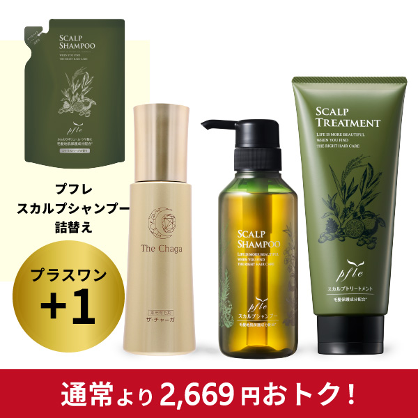 髪の毛回復応援セット